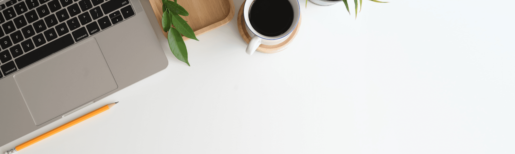 Minimal white